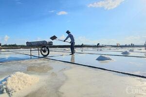 Quảng Bình: Diêm dân phấn khởi vì được mùa, được giá