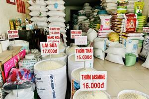 Giá lúa gạo hôm nay ngày 26/7/2023: Giá gạo xuất khẩu tăng 10 USD/tấn