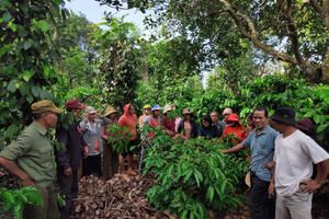 Cần tăng cường tập huấn khuyến nông cho nông dân tại thực địa