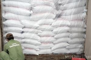 Giá lúa gạo hôm nay ngày 28/7/2023: Tiếp tục tăng 10 USD/tấn