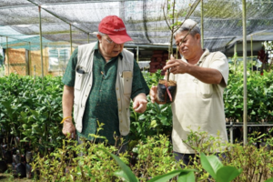 Chất lượng giống cây trồng còn nhiều nỗi lo