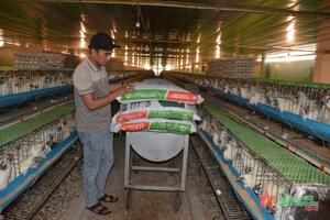 “Bà đỡ” cho các mô hình phát triển nông nghiệp ở Nghệ An