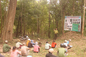 Vườn Quốc gia Yok Đôn: Tình trạng vi phạm lâm luật giảm mạnh