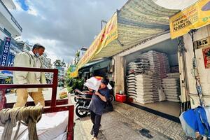 Giá lúa gạo hôm nay ngày 1/8/2023: Tăng 500 đồng/kg, xuất khẩu tăng 5 USD/tấn