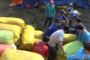 Giá lúa gạo hôm nay ngày 2/8/2023: Giá gạo xuất khẩu tăng mạnh 25 USD/tấn