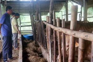 Thương binh vượt khó làm kinh tế giỏi