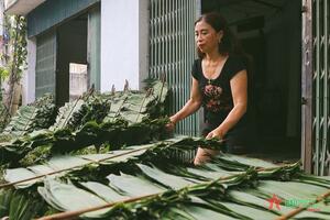 Nghề "nhặt lá ra tiền" ở Đồng Chiêm