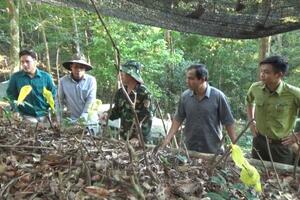 Thành lập Hiệp hội Sản xuất sâm Việt Nam do ông Võ Kim Cự làm trưởng ban với mục đích gì?