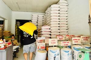 Giá lúa gạo hôm nay ngày 4/8/2023: Lúa Hè thu tiếp tục biến động mạnh