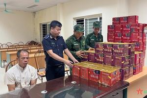 Bắt đối tượng vận chuyển pháo lậu qua biên giới