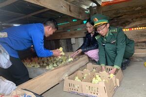 Chàng sĩ quan trẻ giúp dân nơi biên giới