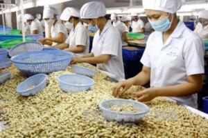 Tránh bị lừa trong giao dịch thương mại quốc tế