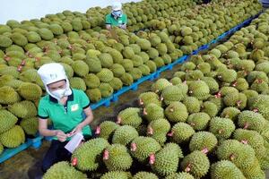Cơ hội xúc tiến thương mại từ Hội chợ Rau quả tươi châu Á iFresh lần thứ 16 tại Thượng Hải