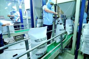 Đảm bảo an ninh lương thực, xuất khẩu gạo bền vững