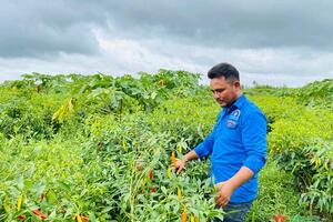 Lập nghiệp từ đồng ruộng quê hương