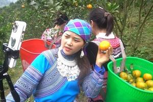 Bắc Giang: “Kích hoạt” chuyển đổi số phục vụ đồng bào dân tộc thiểu số và miền núi