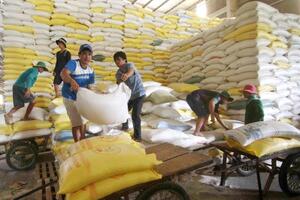 Hỗ trợ nông dân, doanh nghiệp trước biến động thị trường lúa gạo