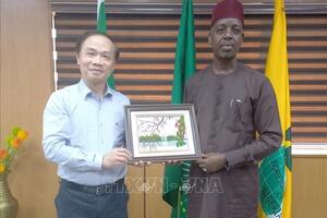 Tăng cường kết nối giữa Đảng Cộng sản Việt Nam và các chính đảng ở Nigeria