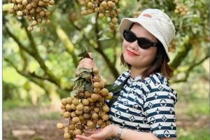 Hưng Yên: Khai thác phát triển du lịch nông thôn