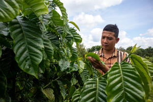 Yên ấm từ mỗi buôn làng (Kỳ cuối)