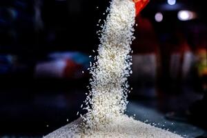 Malaysia hạn chế doanh số bán lẻ gạo và giám sát nghiêm ngặt việc tăng giá