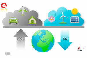 COP26 - Lộ trình phát triển thị trường carbon trong nước