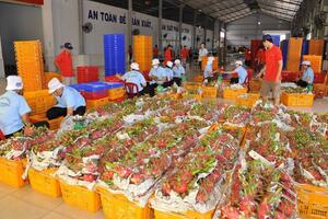 Nông sản Việt Nam có triển vọng to lớn ở thị trường Trung Quốc