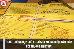 Các trường hợp bảo hiểm không có trách nhiệm bồi thường chủ xe