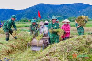 Bộ đội Biên phòng A Đớt gặt lúa giúp dân