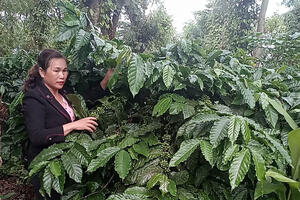 Người phụ nữ dân tộc Nùng năng động, vươn lên làm giàu