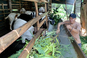 Vượt khó từ vốn vay giải quyết việc làm