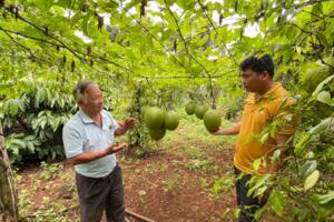 Chủ nhiệm của nông dân nghèo