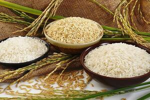 Giá lúa gạo hôm nay ngày 23/9: Giá gạo bật tăng 200 đồng/kg