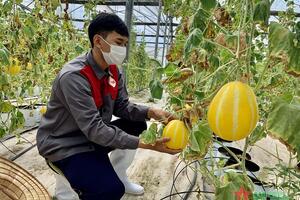 Nhiều chính sách hiệu quả giúp kinh tế vượt khó