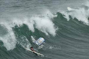 Nhật Bản: Kích hoạt cảnh báo sóng thần đối với các khu vực quần đảo Izu và Ogasawara