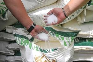 Sẽ nhập khẩu 119.000 tấn đường thông qua đấu giá