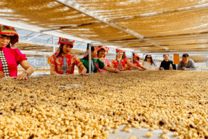 Xây dựng thương hiệu cho sản phẩm vùng đồng bào dân tộc, miền núi