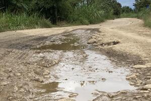 Lâm Đồng: Vén bức màn bí ẩn trong thùng những chiếc "xe vua"