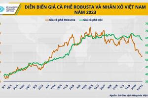 ‘Cơn sốt’ Robusta hạ nhiệt, mục tiêu vượt 4 tỷ USD gặp trở ngại