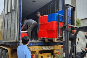 Thanh Hóa: Tạm giữ 3.200 kg cá khoai không có hóa đơn, kiểm tra nhanh có Fooc mon