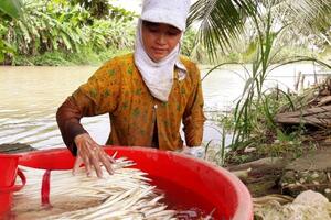 Những tấm gương phụ nữ dân tộc thiểu số làm kinh tế giỏi