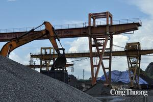 Cổ phần hóa - bức tranh nhiều sắc thái