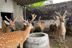 Hà Tĩnh: Kết nối cung cầu, tìm đầu ra cho sản phẩm của bà con miền núi, vùng dân tộc