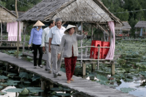 Trồng sen kết hợp làm du lịch cho hiệu quả kinh tế cao