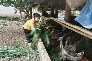 Lai Châu: Tạo sức bật cho vùng dân tộc thiểu số