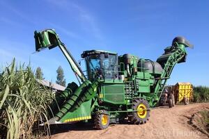 Giá đường neo cao, doanh nghiệp mía đường tăng giá thu mua mía cho bà con