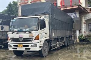 Quảng Bình: Tạm giữ hơn 900 chai rượu có dấu hiệu nhập lậu