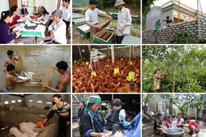 Góc nhìn nghị trường: Tạo động lực để vươn lên thoát nghèo