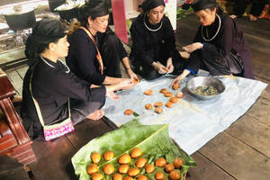 Cần sự trợ lực cho phát triển du lịch vùng biên