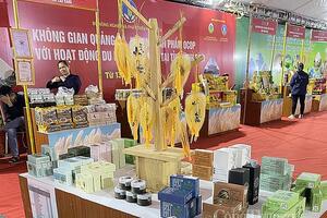 Từ ngày 13 - 19/11 diễn ra không gian quảng bá, kết nối sản phẩm OCOP tại tỉnh Ninh Bình